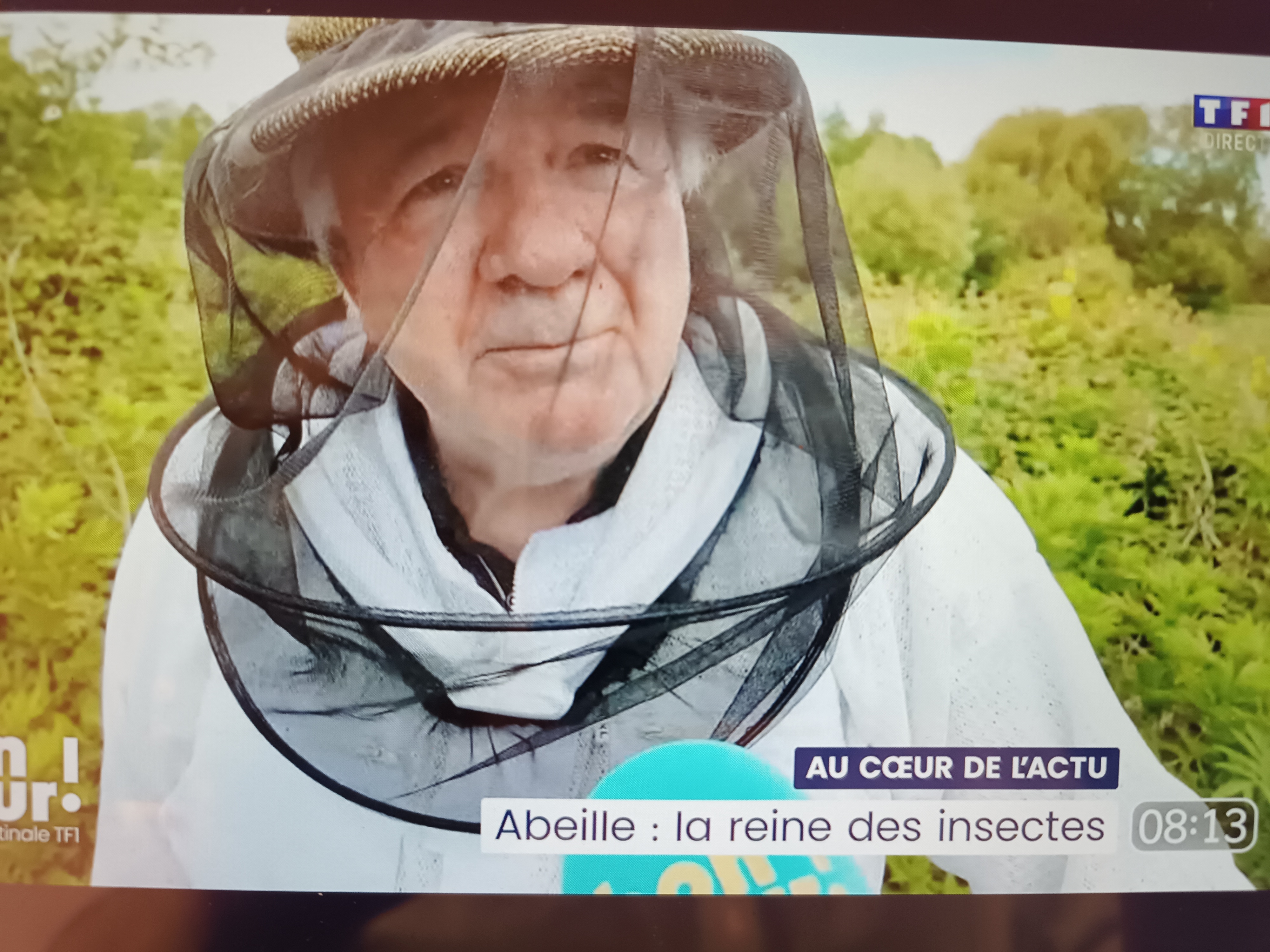 saison aux abeilles matinale TF1