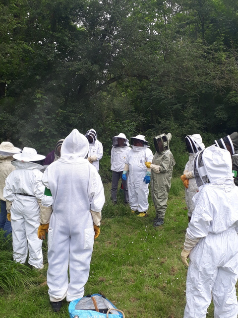 rucher-Marly-sandrine-03